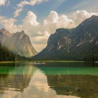 某本地服务企业老板